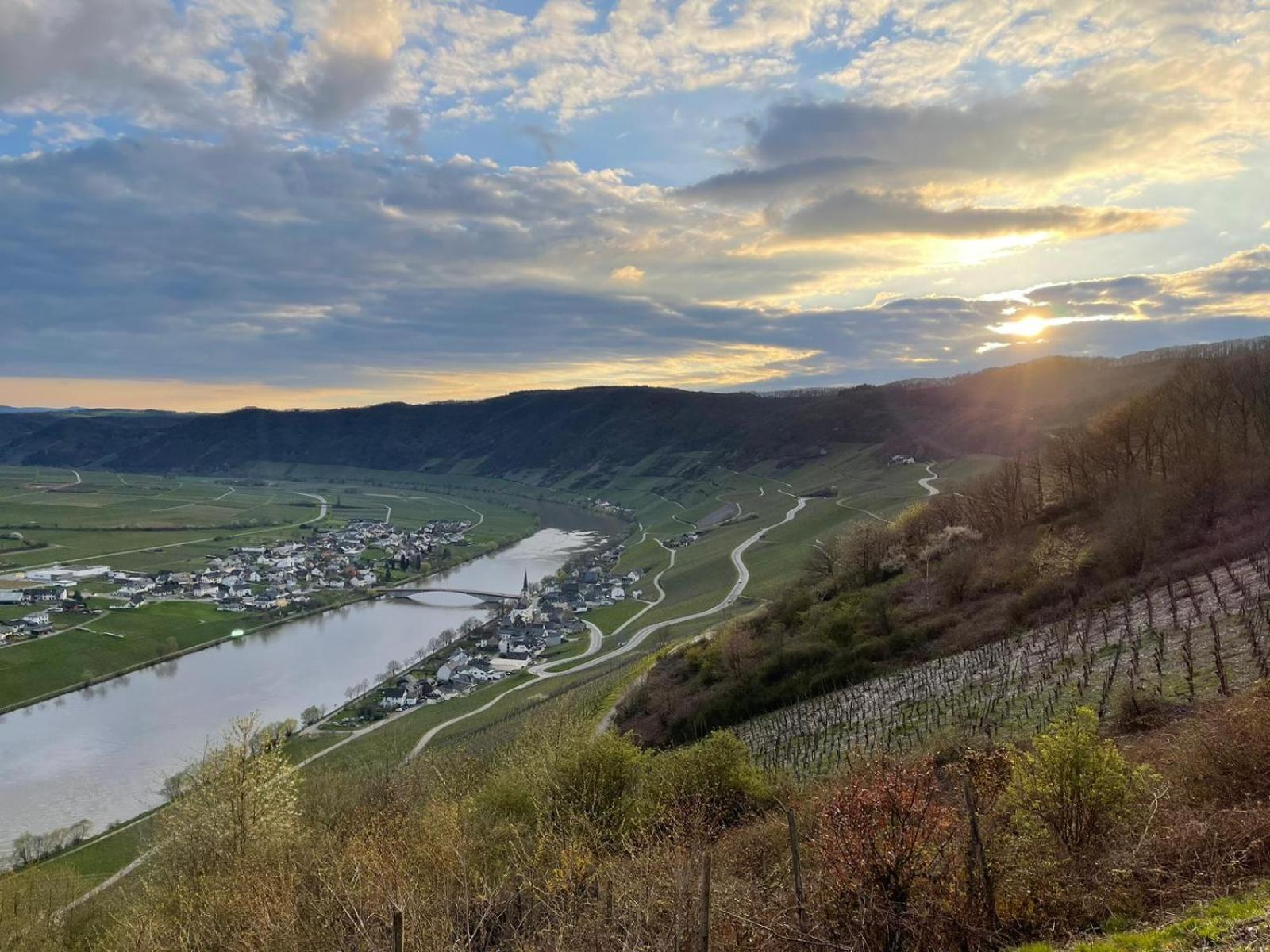 Die Ferienwohnungen Dominik Horath Camera foto